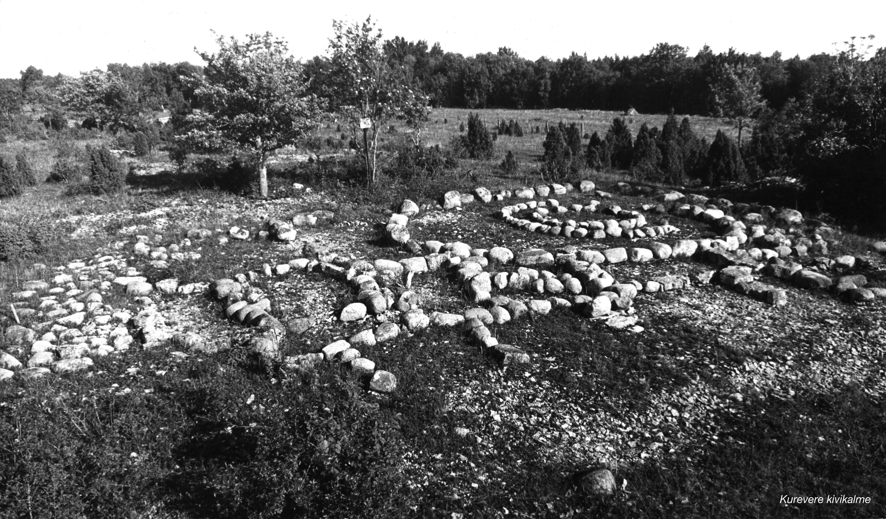 Kurevere cemetery.