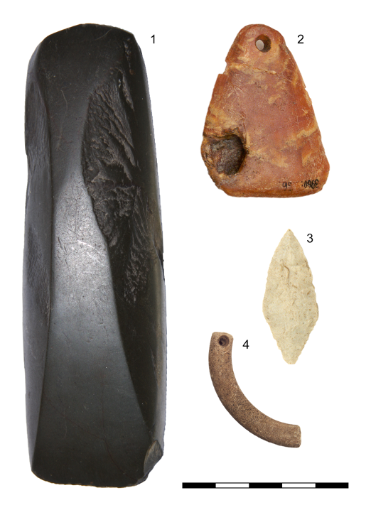 Objects made from “exotic” materials used by people of the Comb Ceramic culture in Estonia: : 1 – a chisel from Nurmeküla, made from Karelian metatuff, 2 – an amber necklace originating from the west coast of Latvia or Lithuania, found at the Tamula I settlement site, 3 – an arrow head found at the Tamula I settlement site, made from flint from the central region of European Russia, 4 – a ring adornment made from Karelian metatuff.  