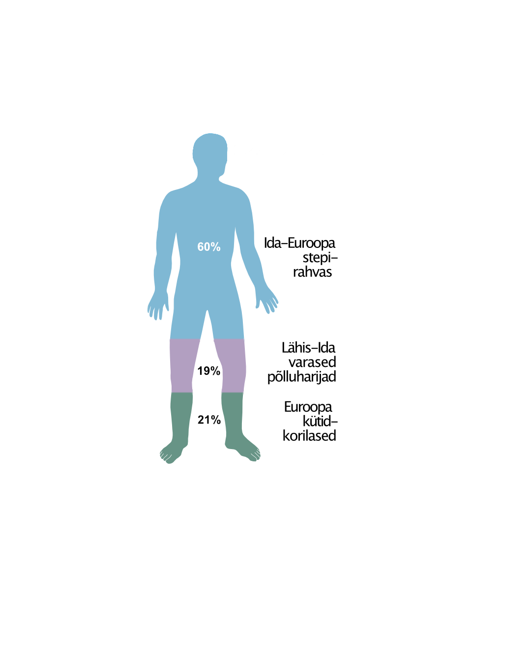 The genetic “composition” of an individual buried in a stone-cist grave. 60% of Eastern European steppe people, 19% of Early a´Agriculturalists of the near-East and 21% of European Hunter-Gatherers.