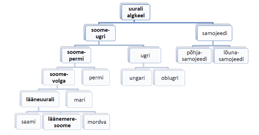 Место западно-уральского языка в уральских языковых группах.