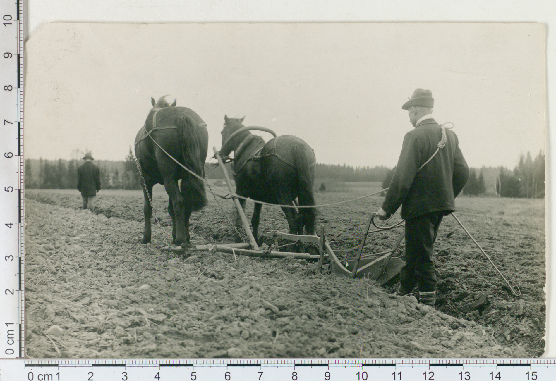 Must valge pilt põllul töötavast mehes, hõlmadrast ja kahest hobusest.